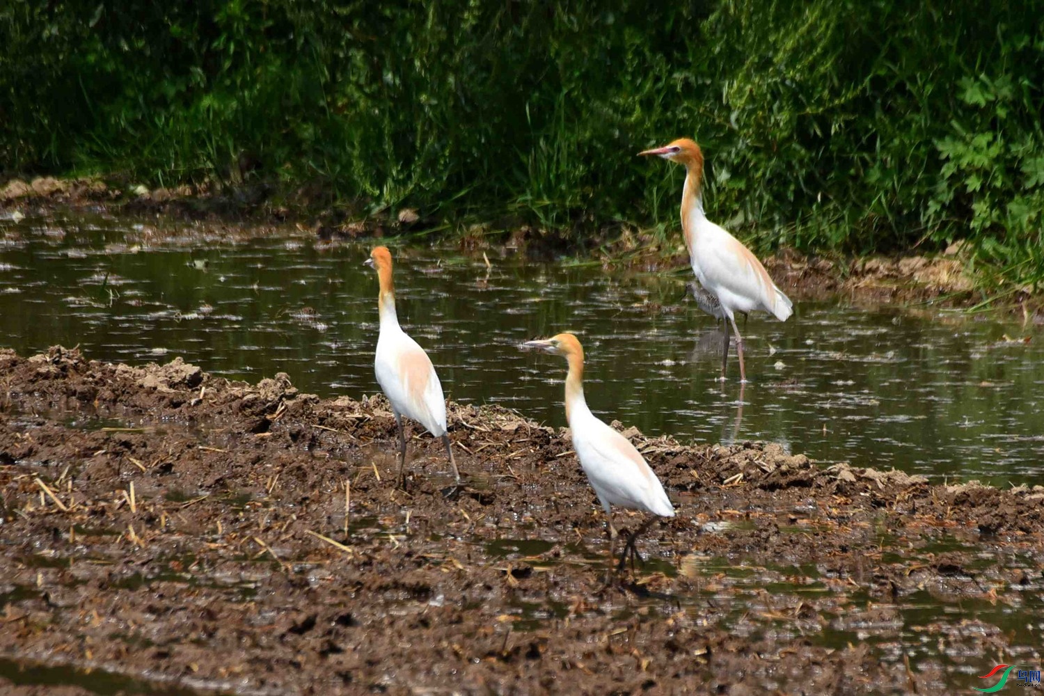 DSC_8021.JPG