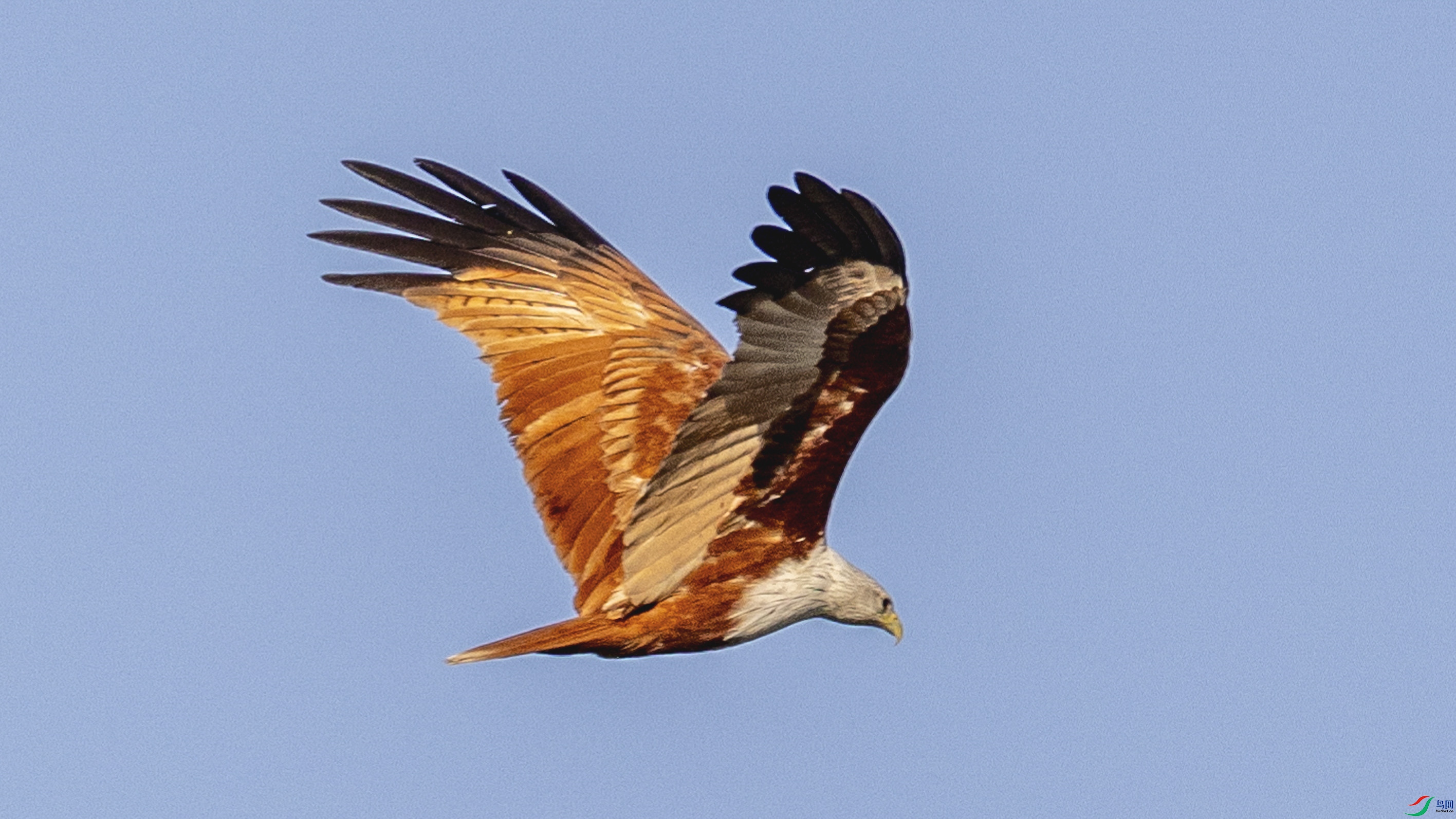 4Z6A5973.jpg