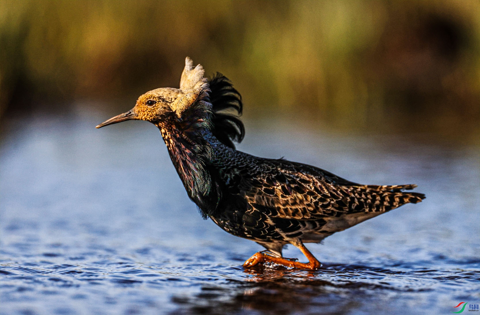 ���ʸ��� ����.jpg