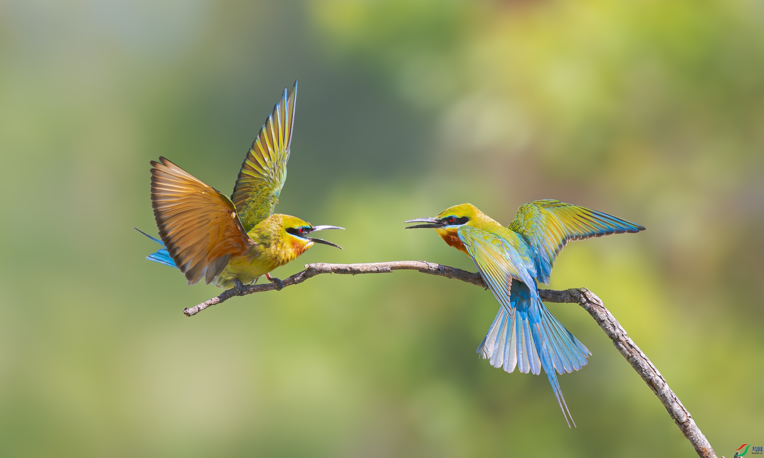 DSC_7675xn-����ǿ-NR.jpg