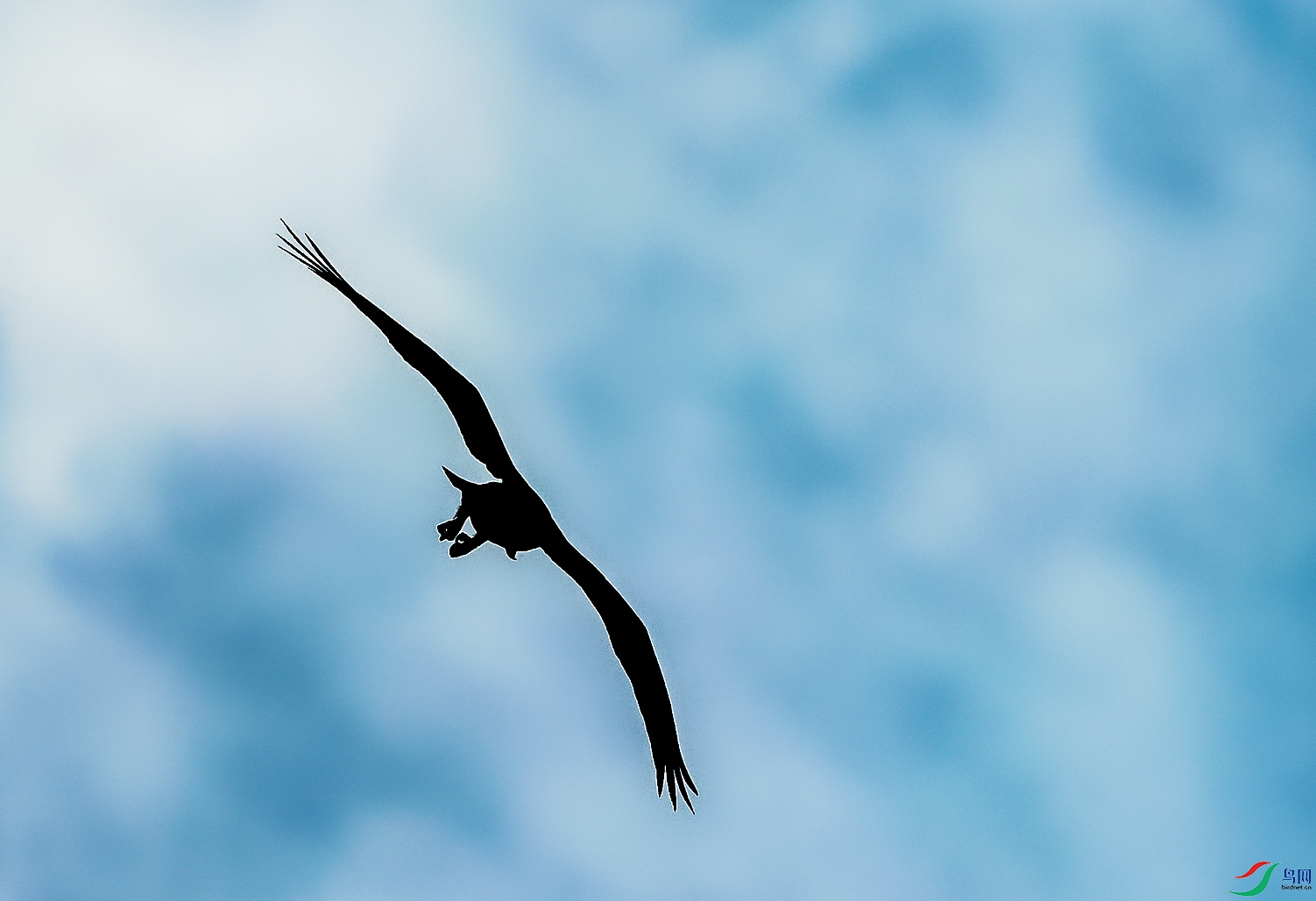 �ɶ�-��������