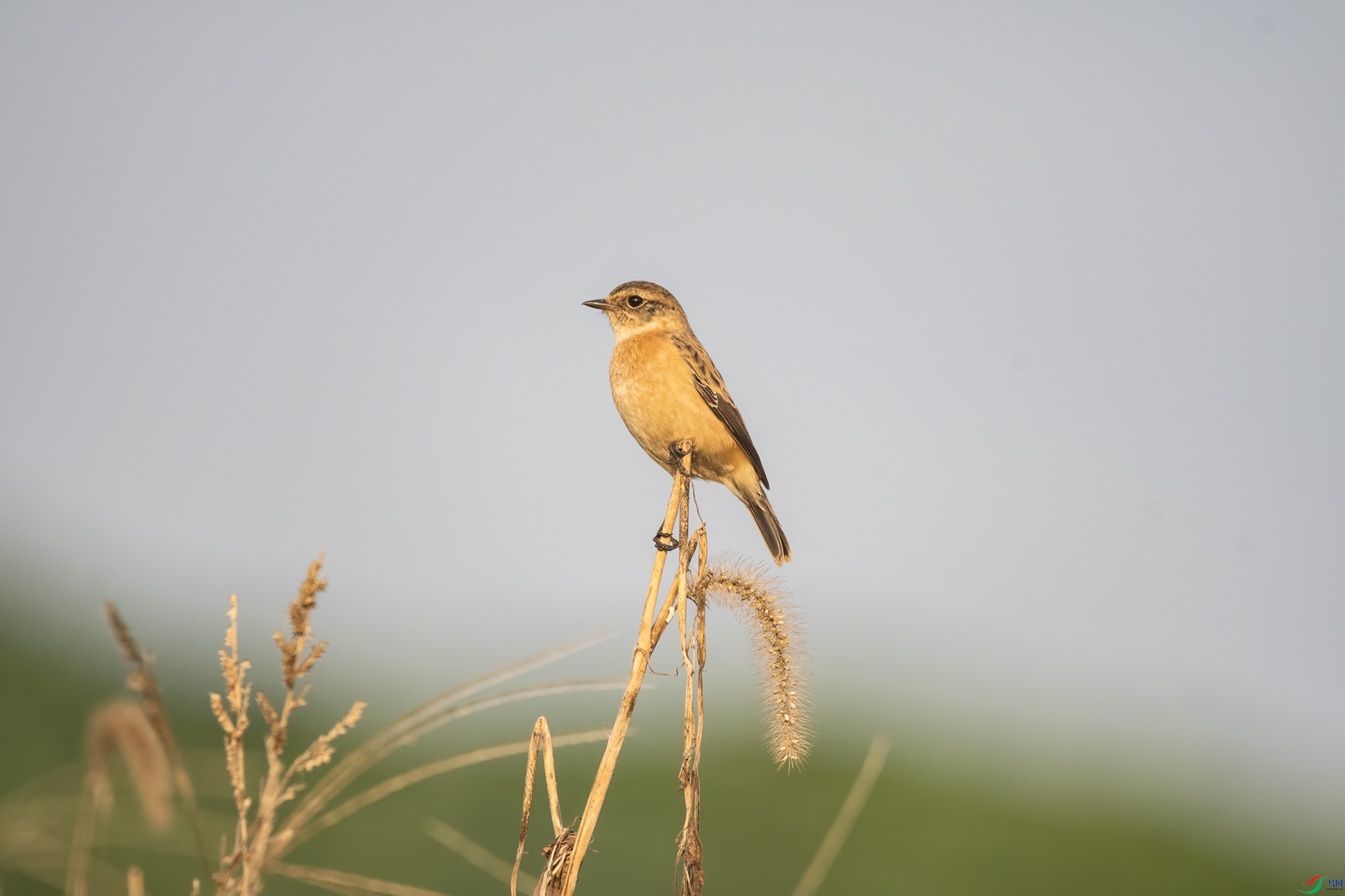 DSC_6945.jpg