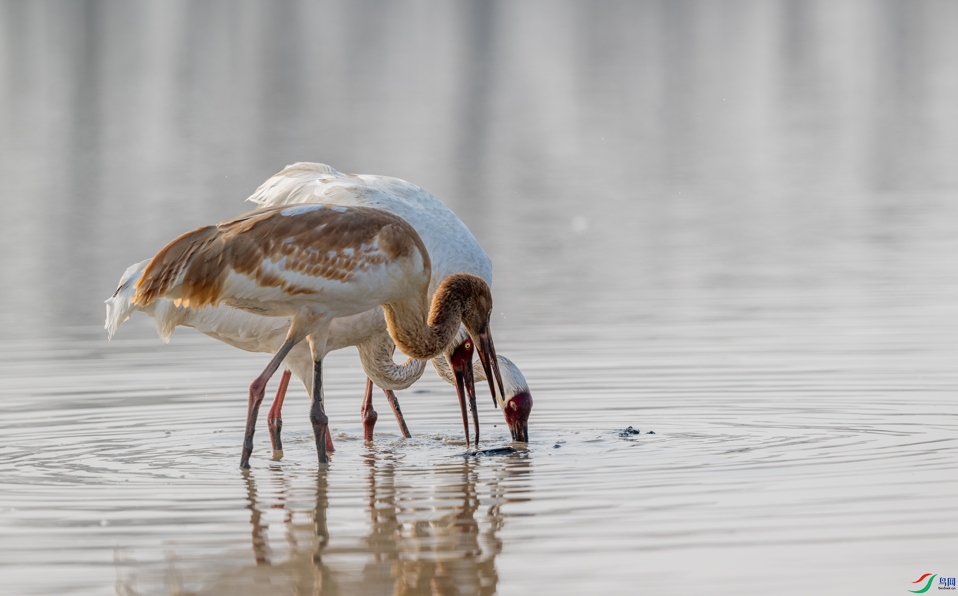 DSC_1509-1.jpg