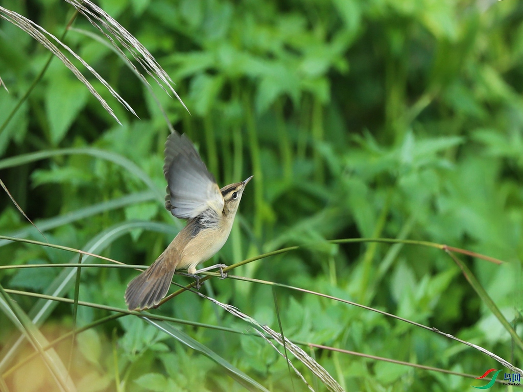DSC20241015138.jpg