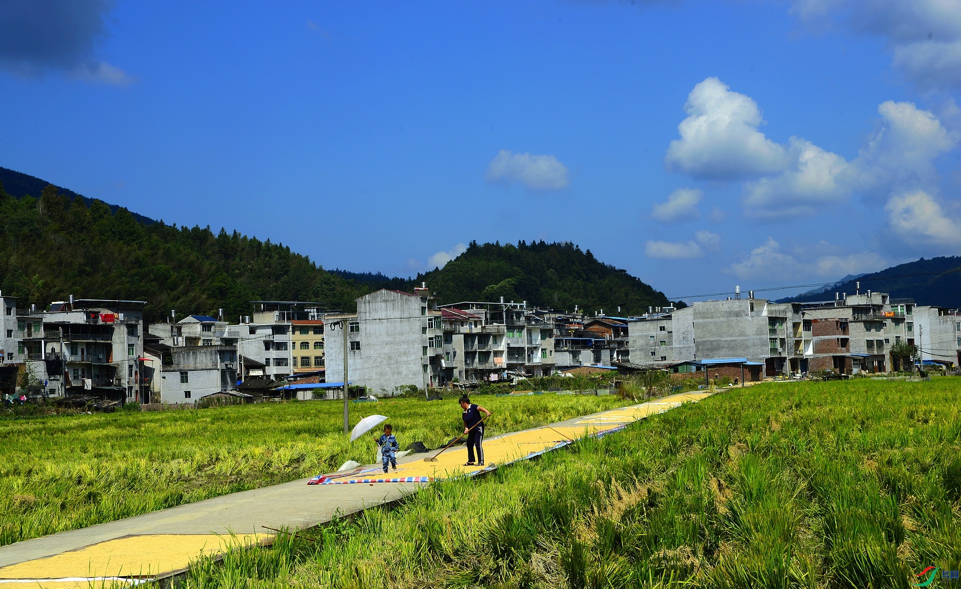 _D800873.jpg