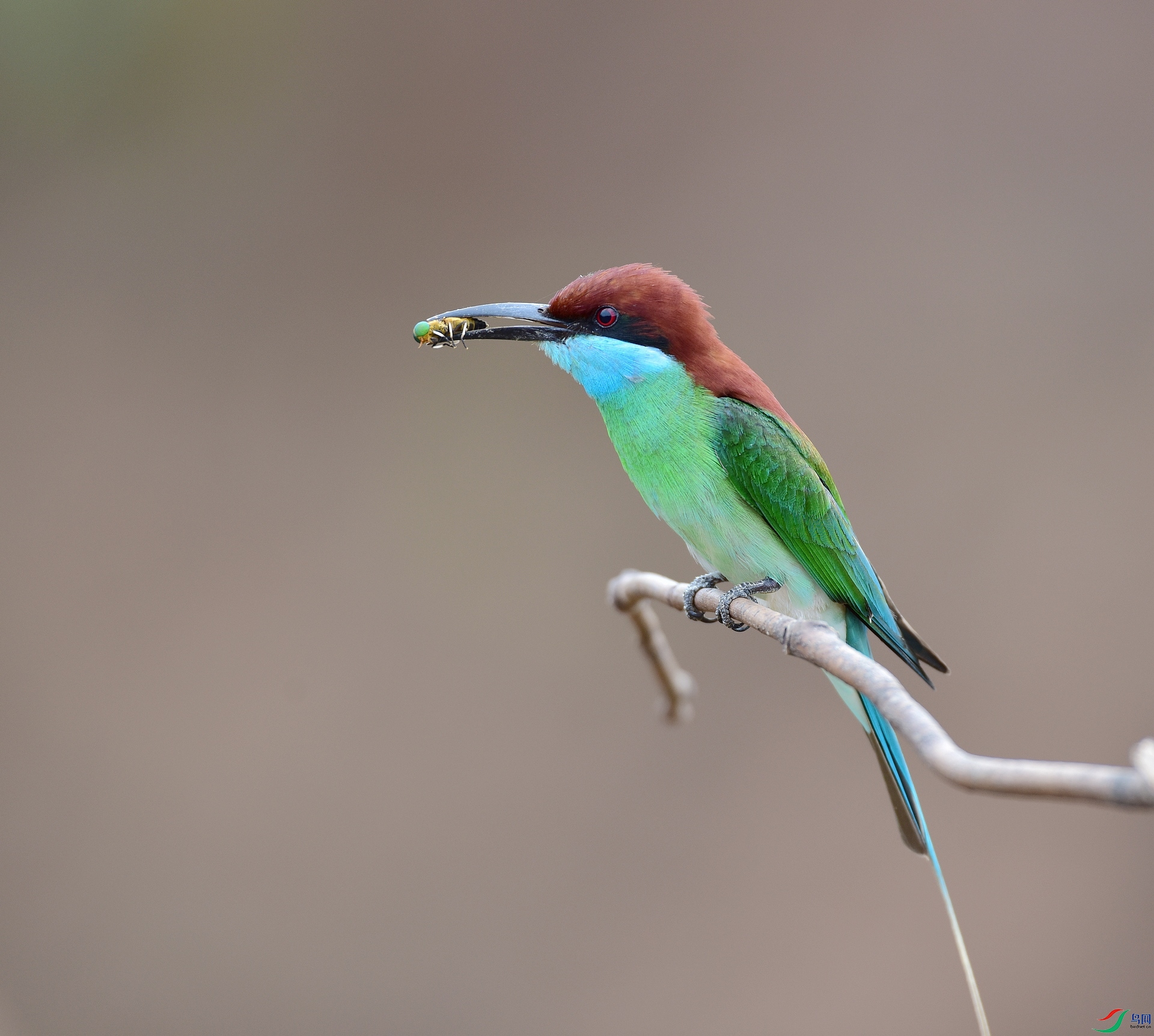 D8I_9890.jpg