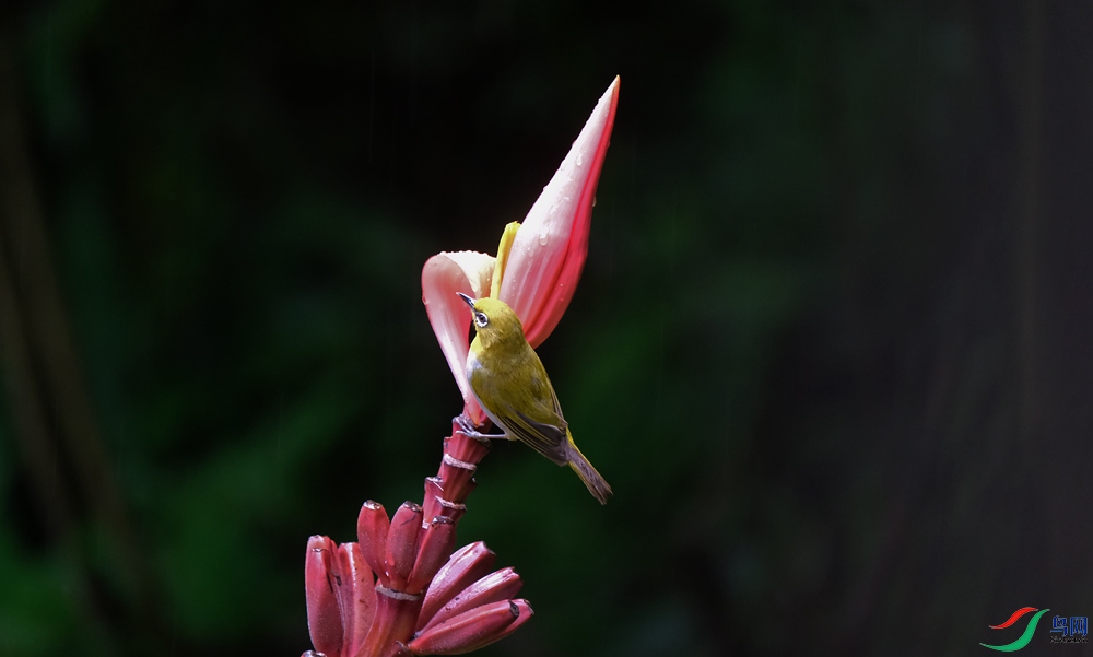 DSCF8514.1.jpg