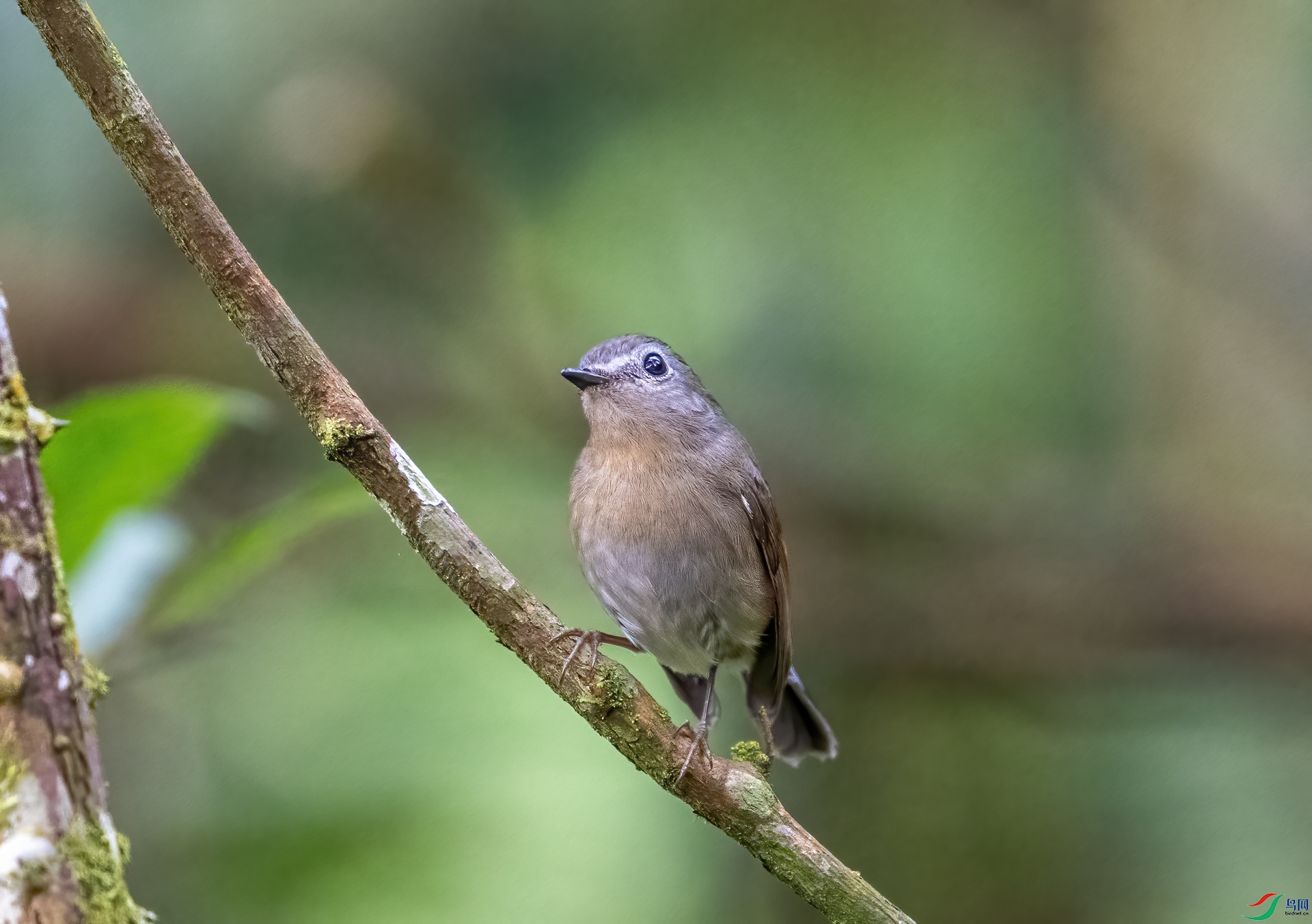 DSC_7022-1.jpg