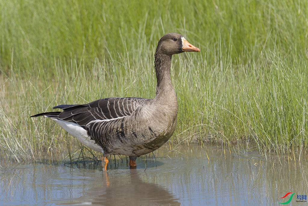 5A7A1782 ����.jpg