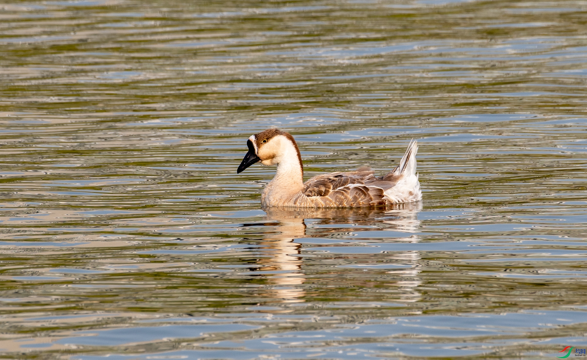 DSC_3922.jpg