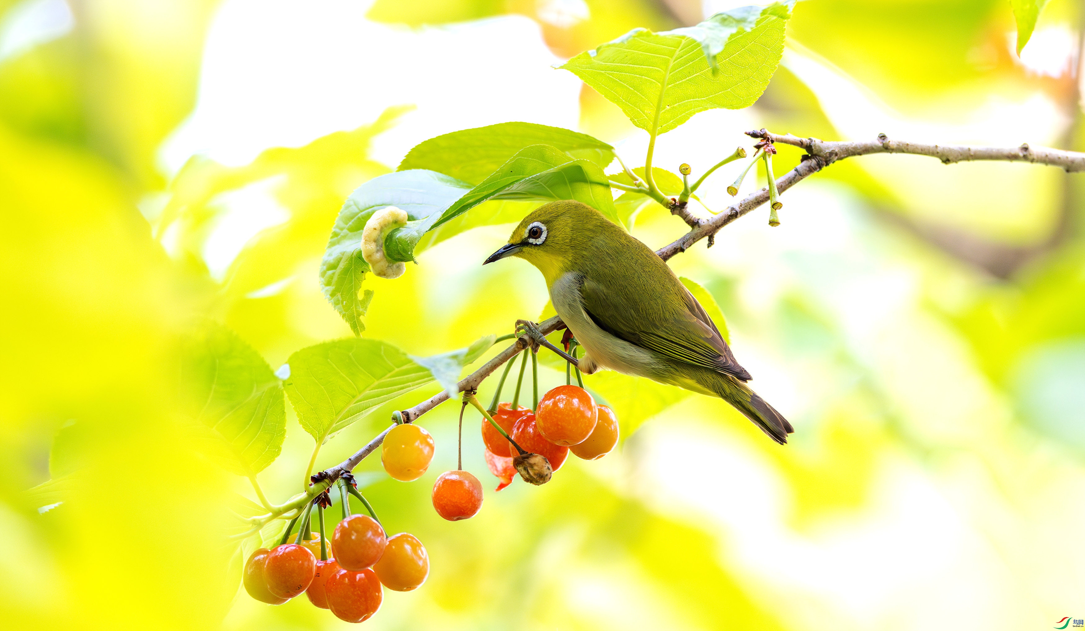 412A7347-����ǿ-����-1_����=09.jpg