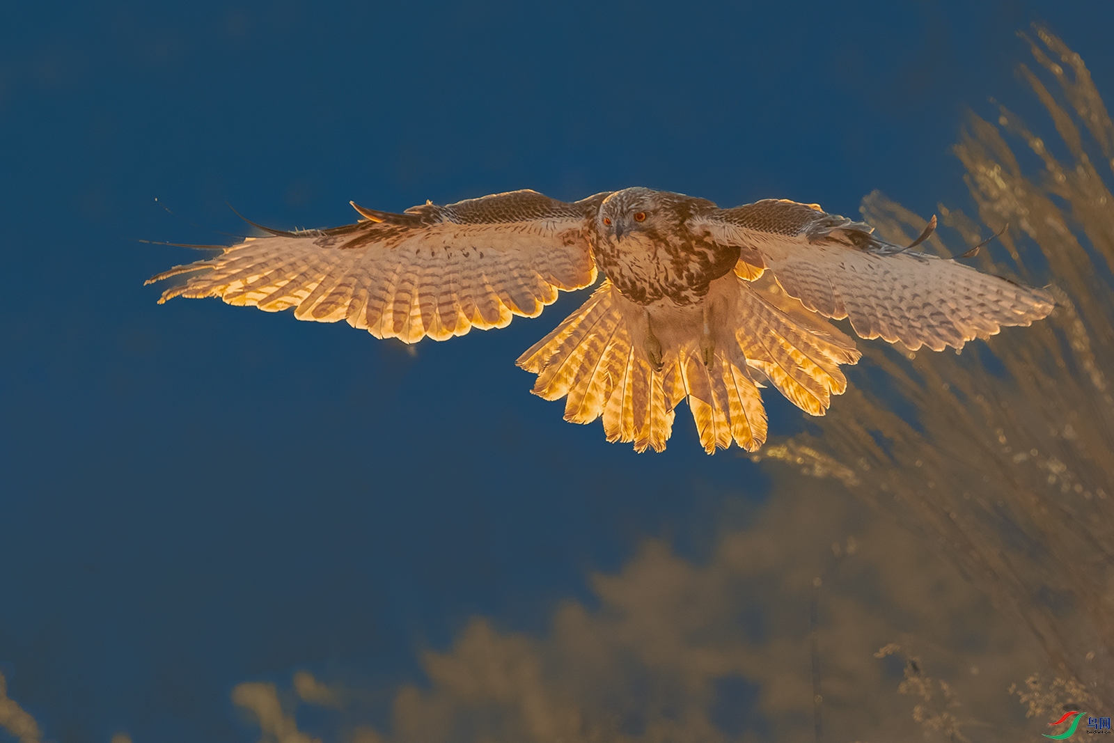 ���\----�������