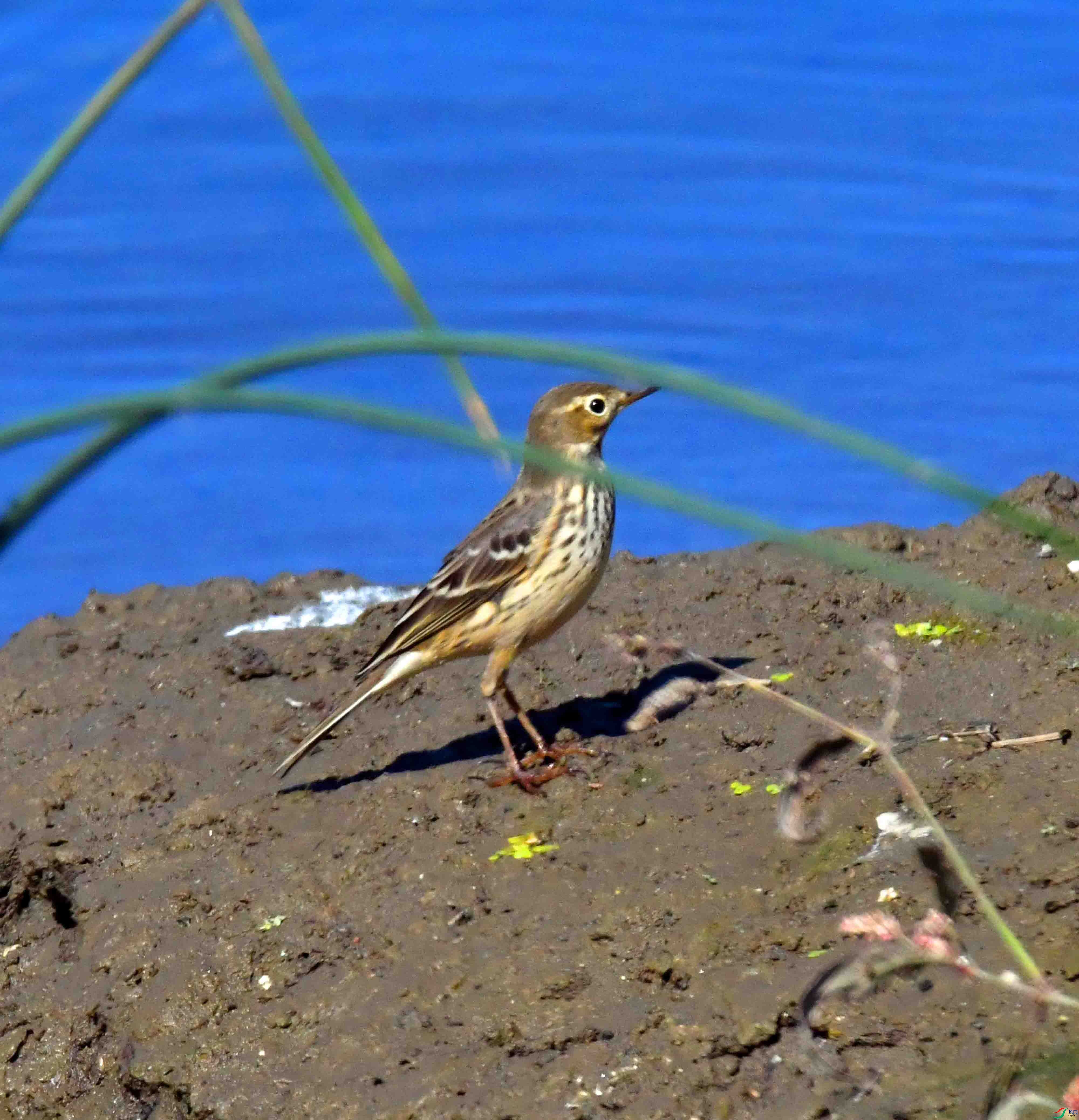 DSC_8599.JPG