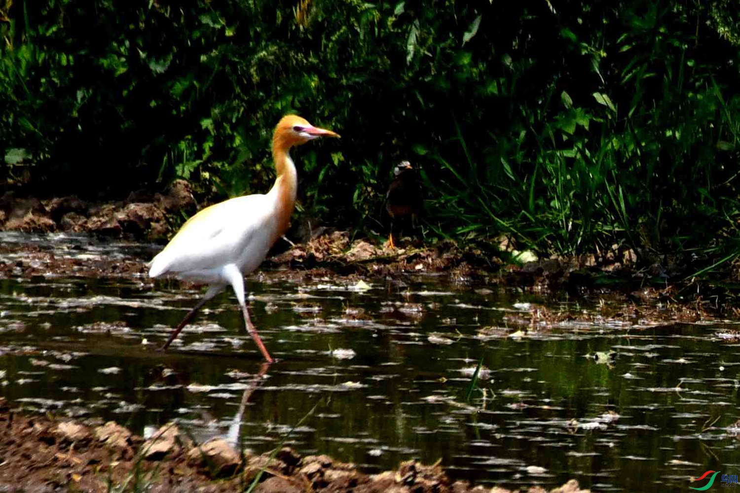DSC_8052.JPG