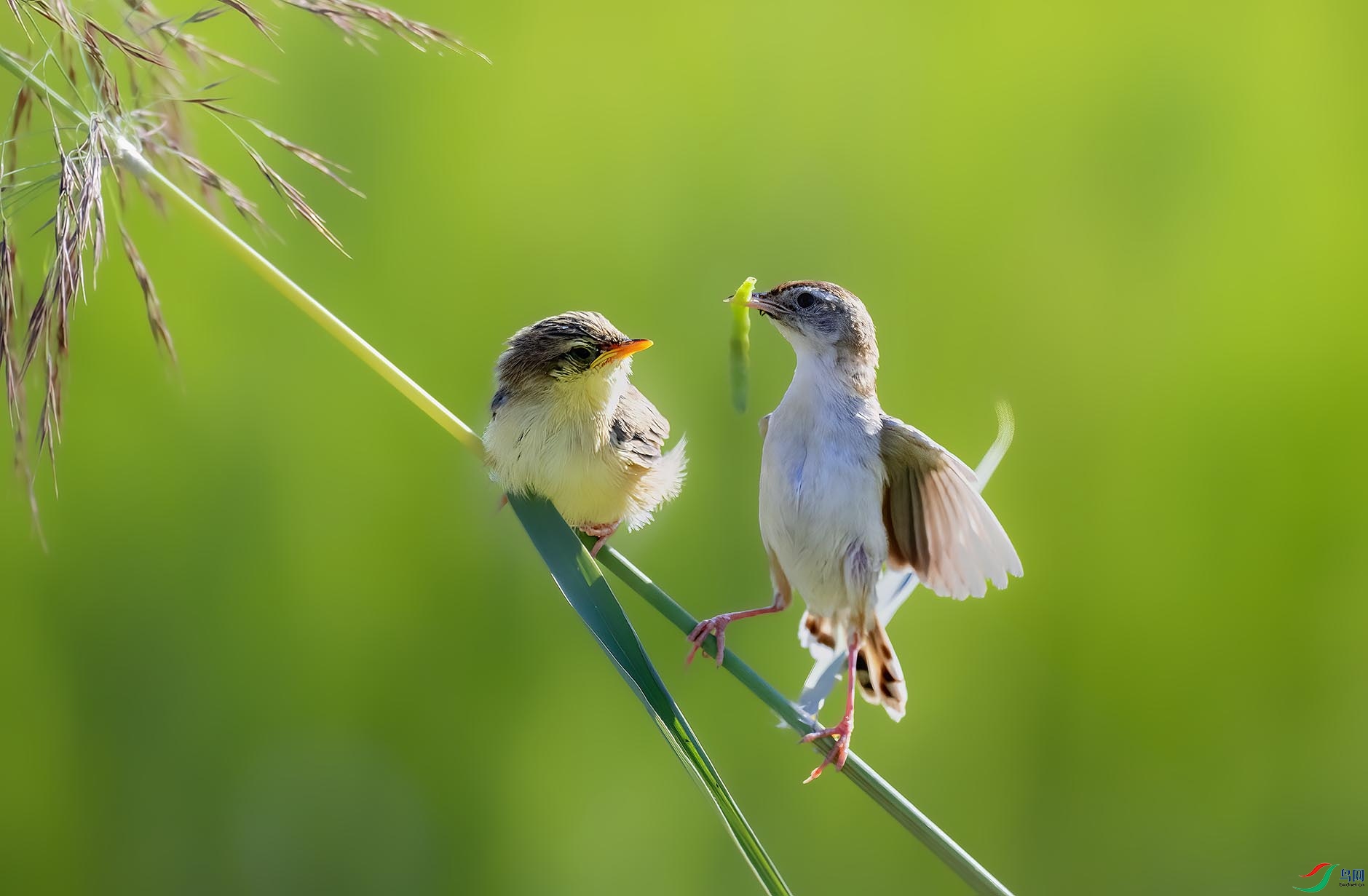 ���˵����