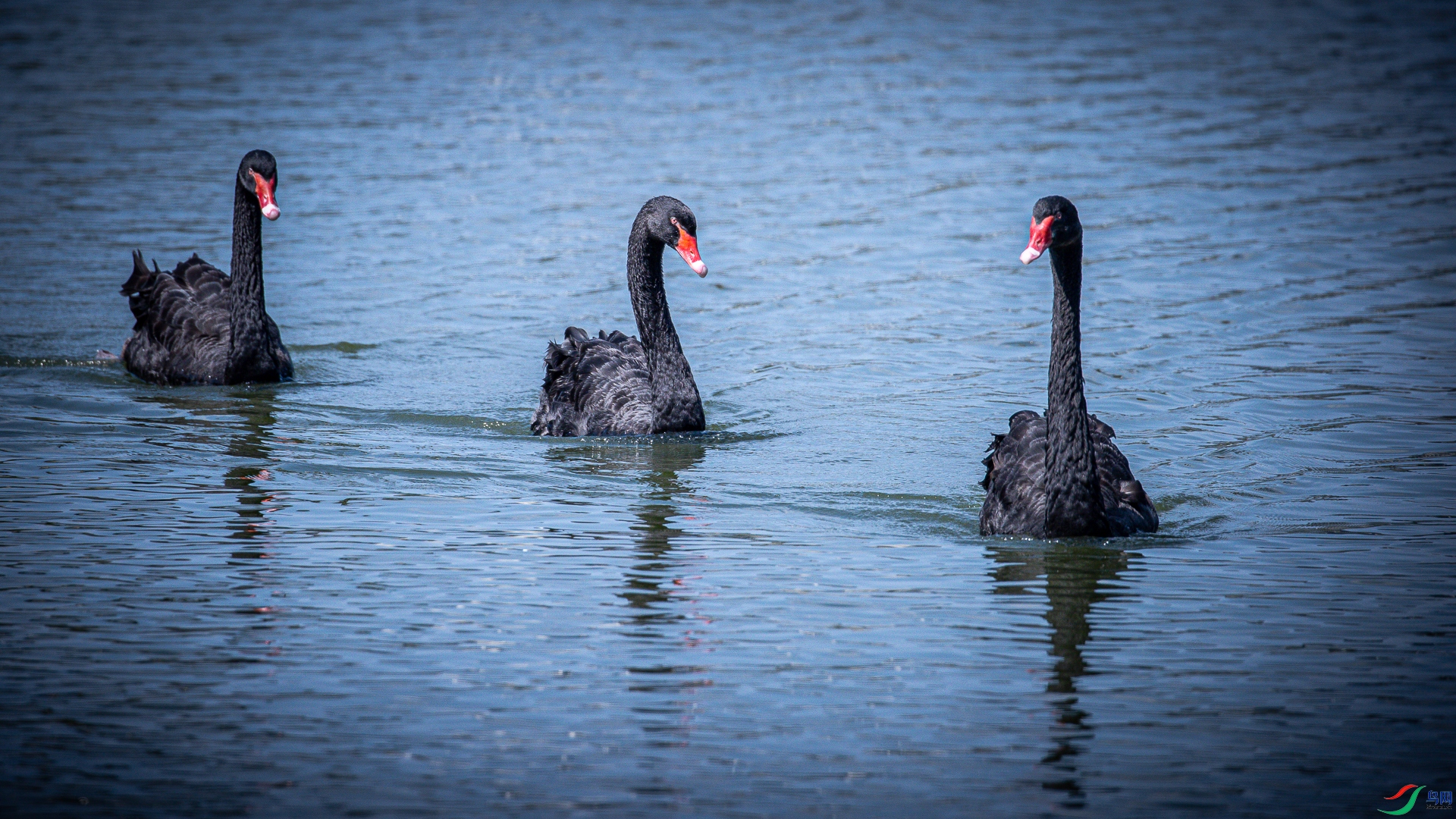 ��һ��˼������������2