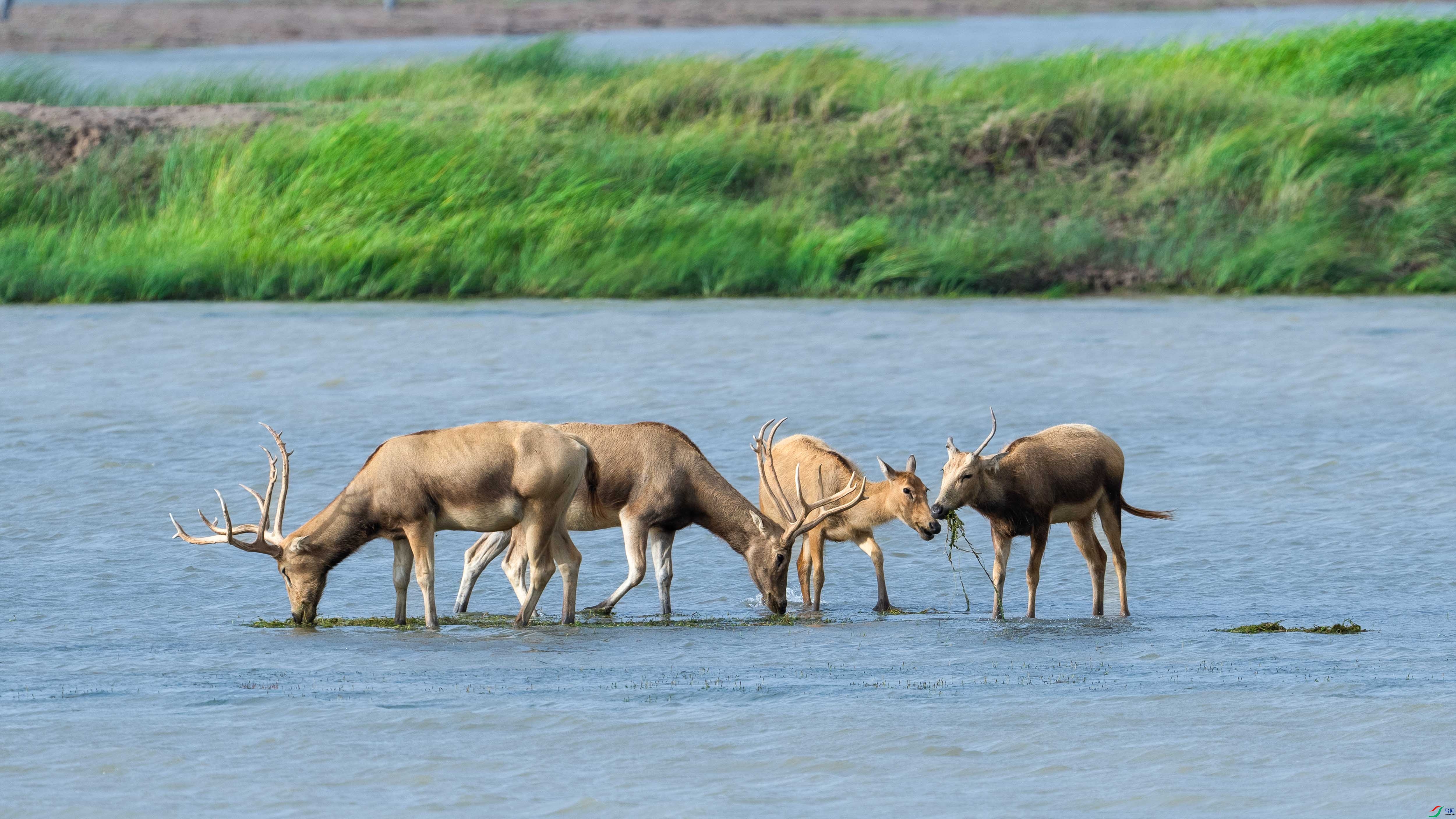 _DSC3001 ����.jpg