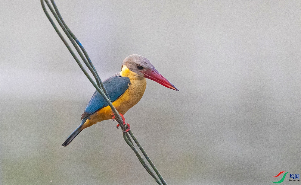 ������� (2).jpg