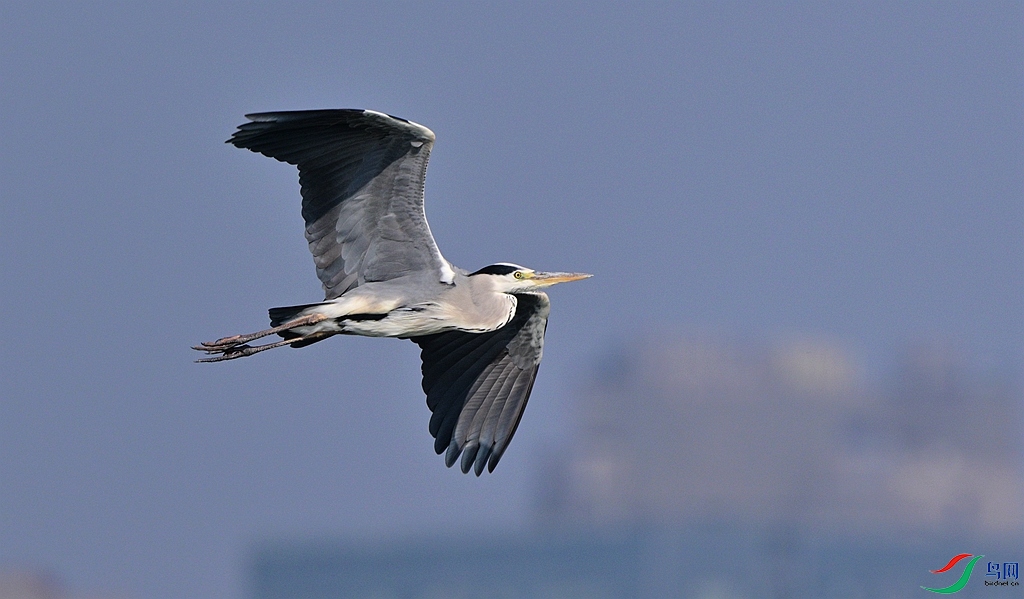 DSC_6607.JPG