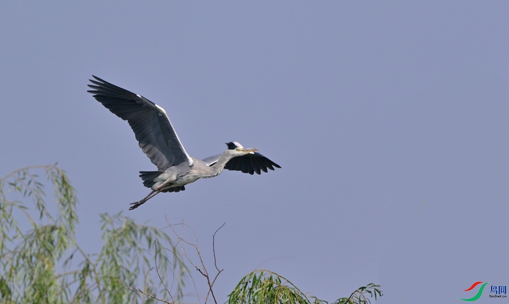 DSC_6689.JPG