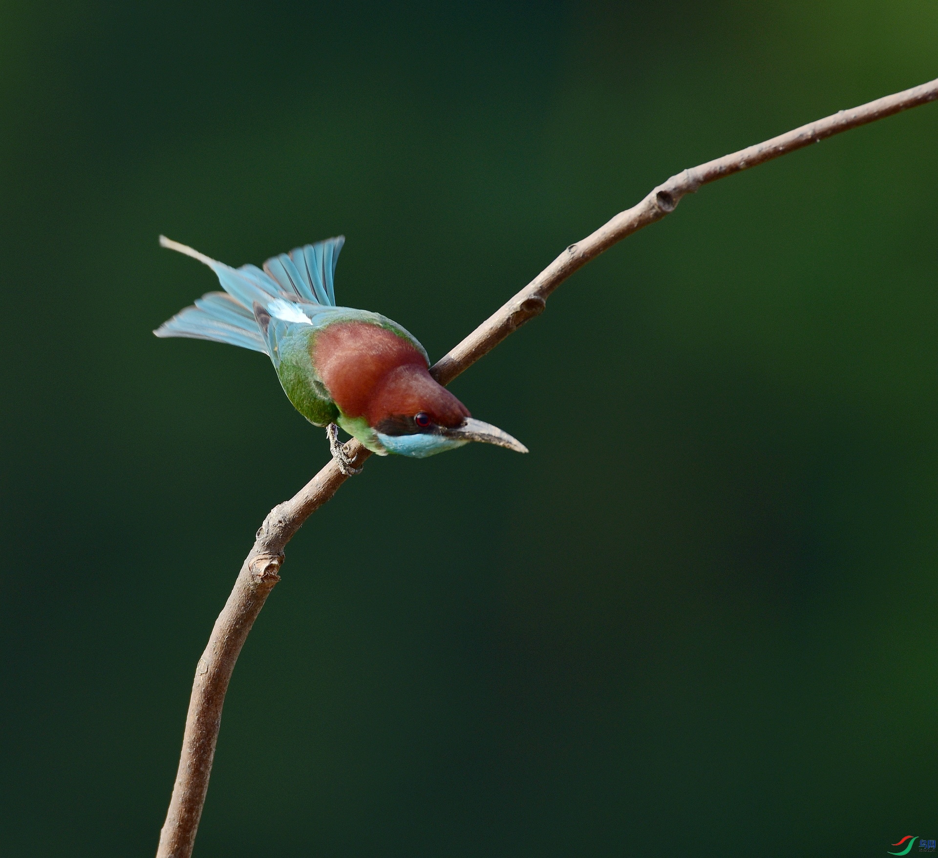 D8I_9882.jpg