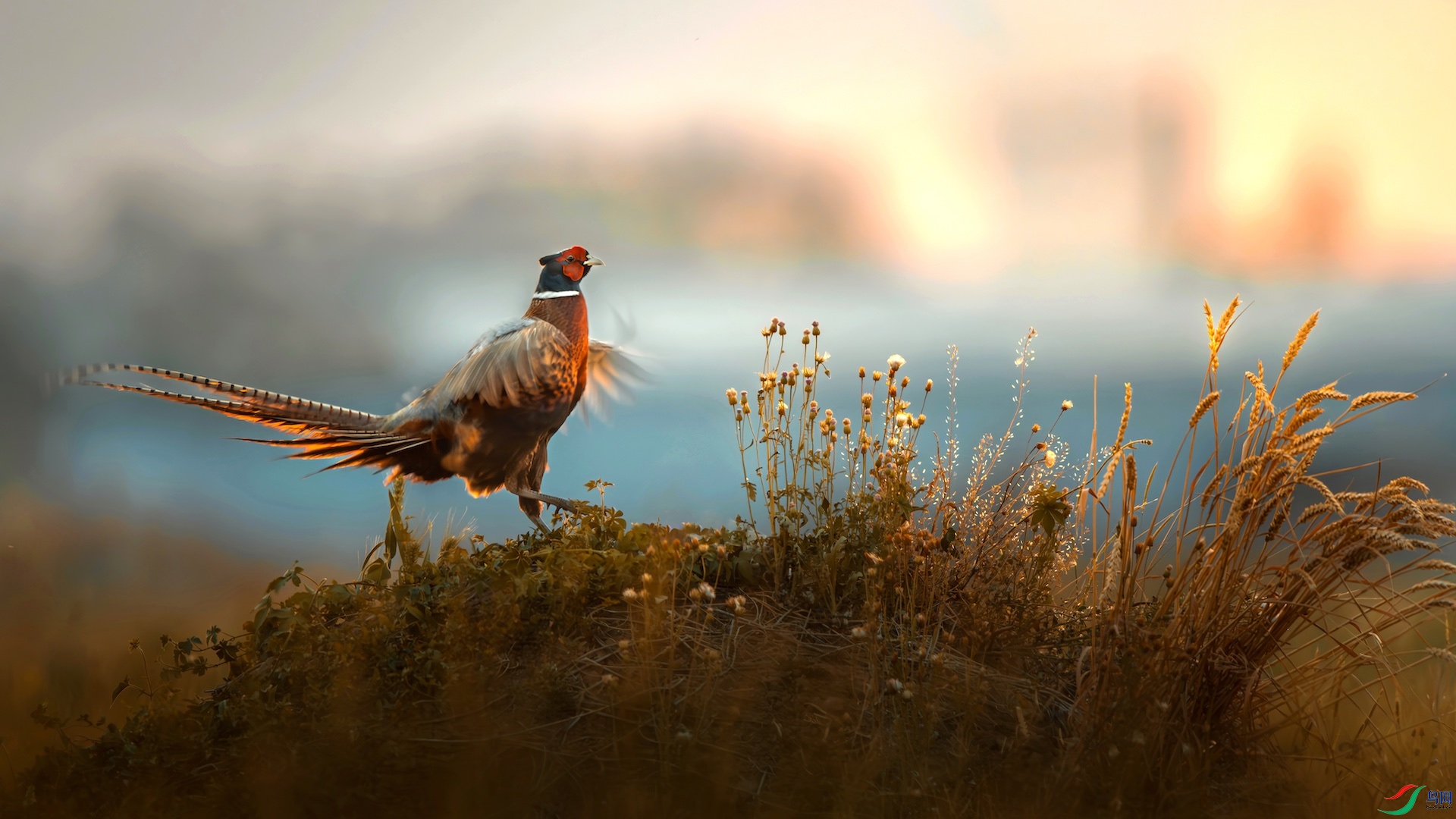 1_XXI0262-����ǿ-NR-1 ����-1.jpeg