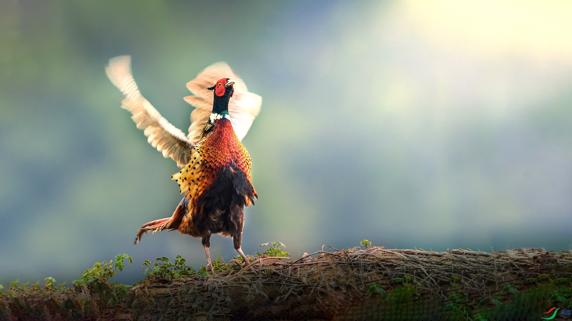 1_XXI2777 ���� 2.jpg1-1�ĸ���-1-1.jpeg