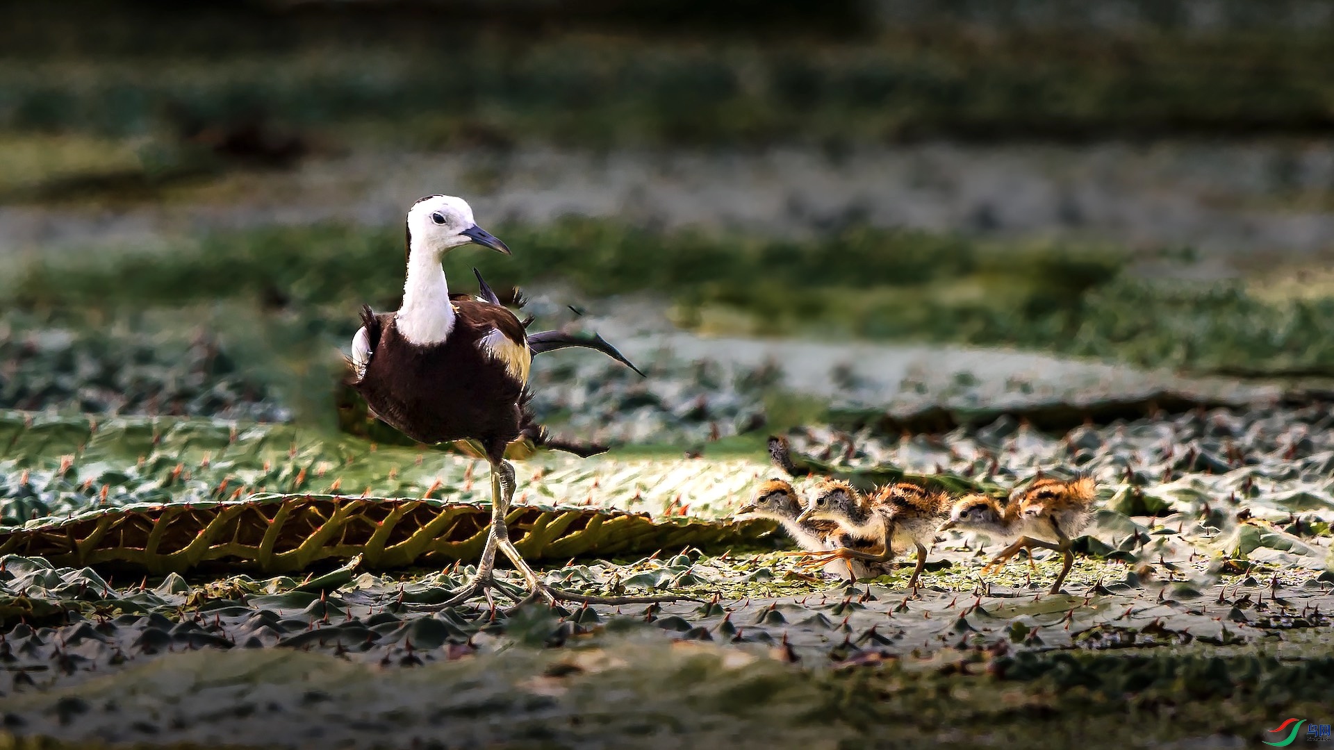 1-3_1 ����.jpeg