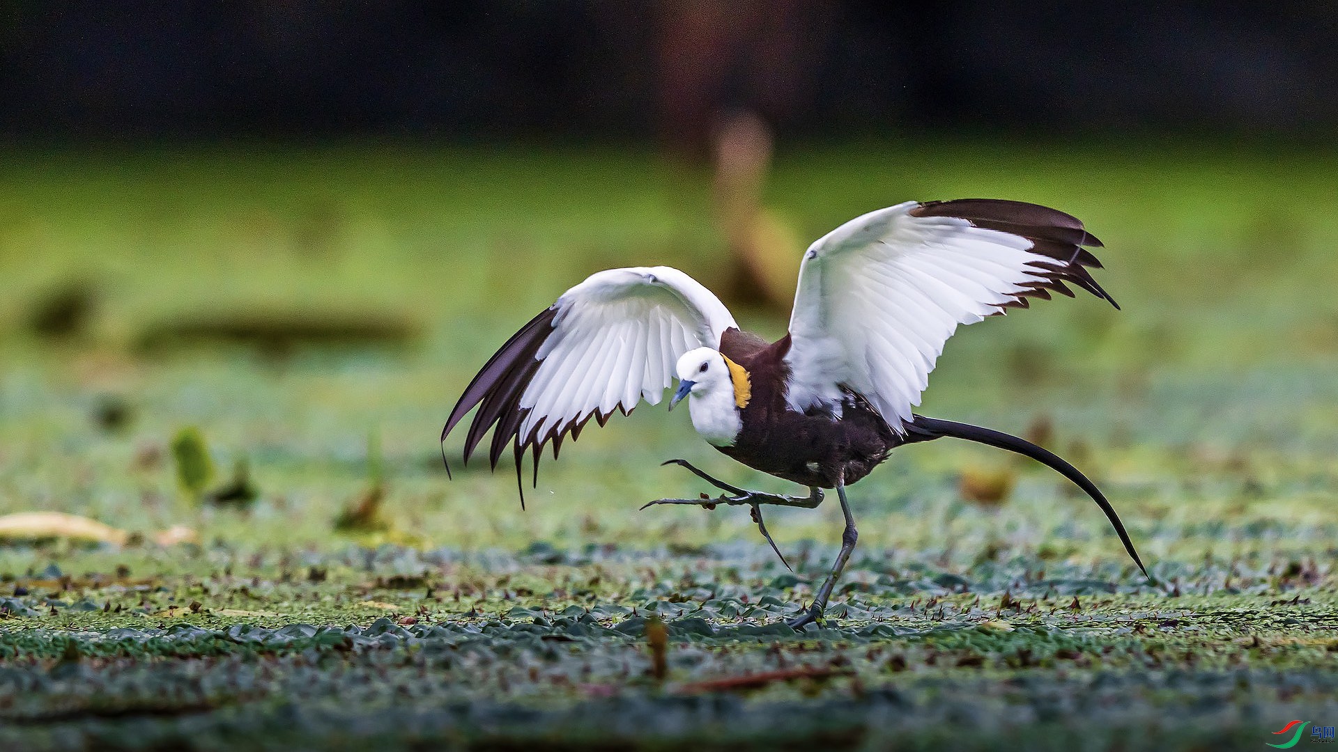 1-3-7�ĸ���2 ����.jpeg