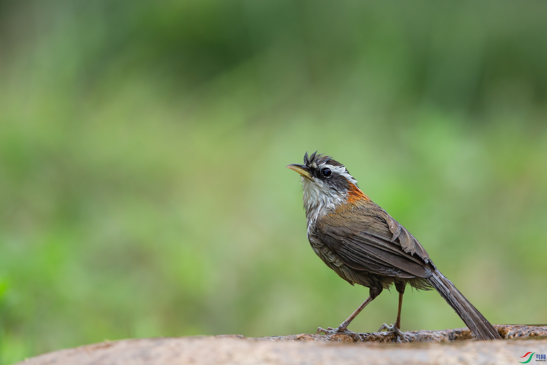 AQ4P1632-1.jpg