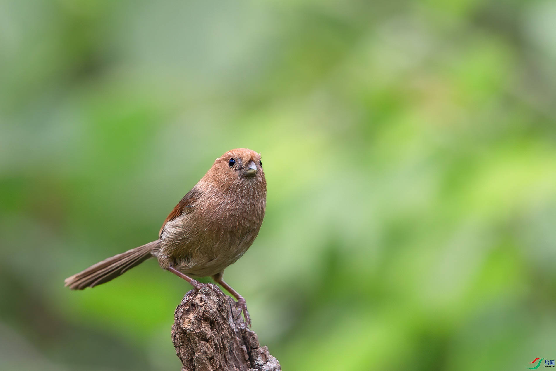 AQ4P1502-1.jpg