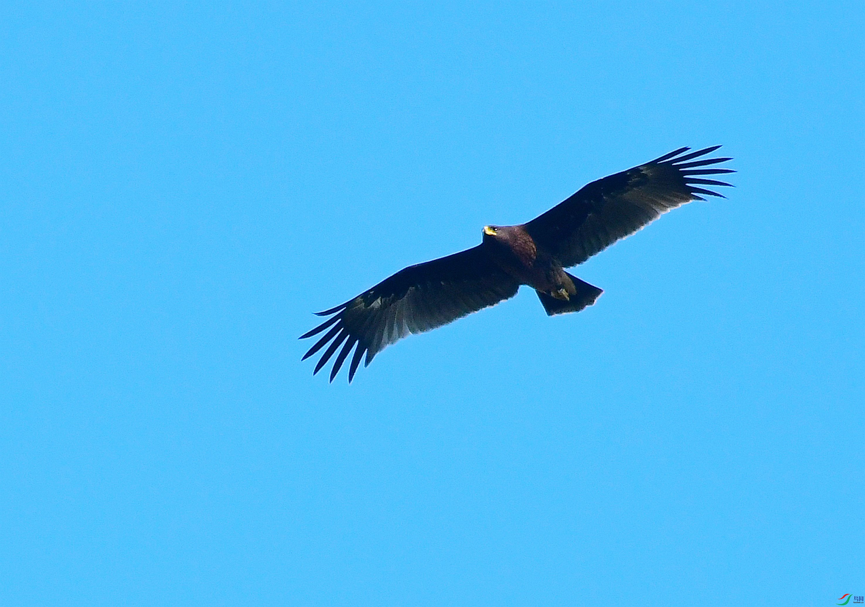 DSC_1583.JPG