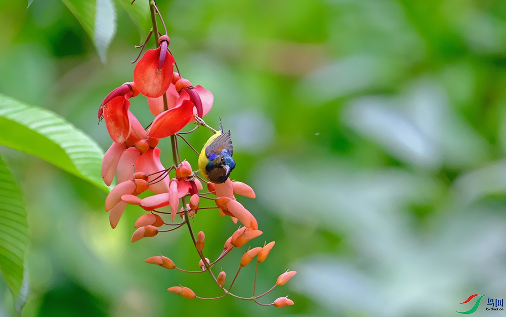 DSCF1054.1.jpg