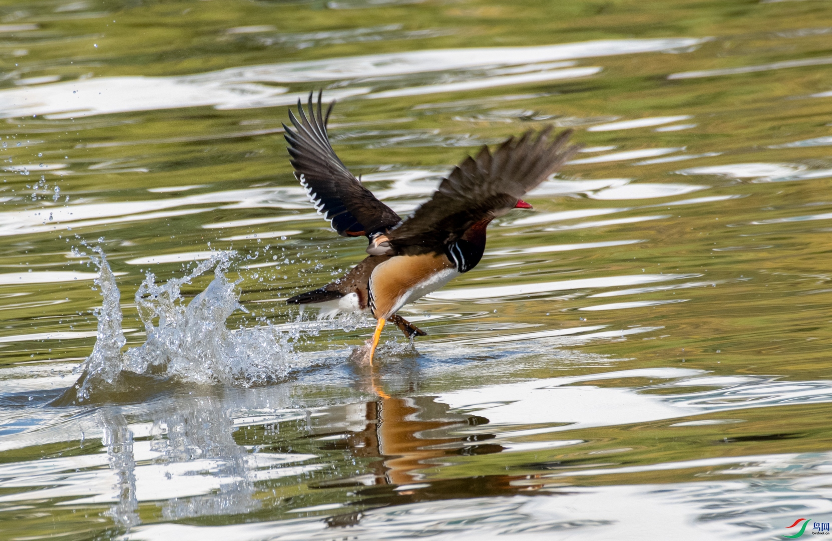DSC_5032.jpg