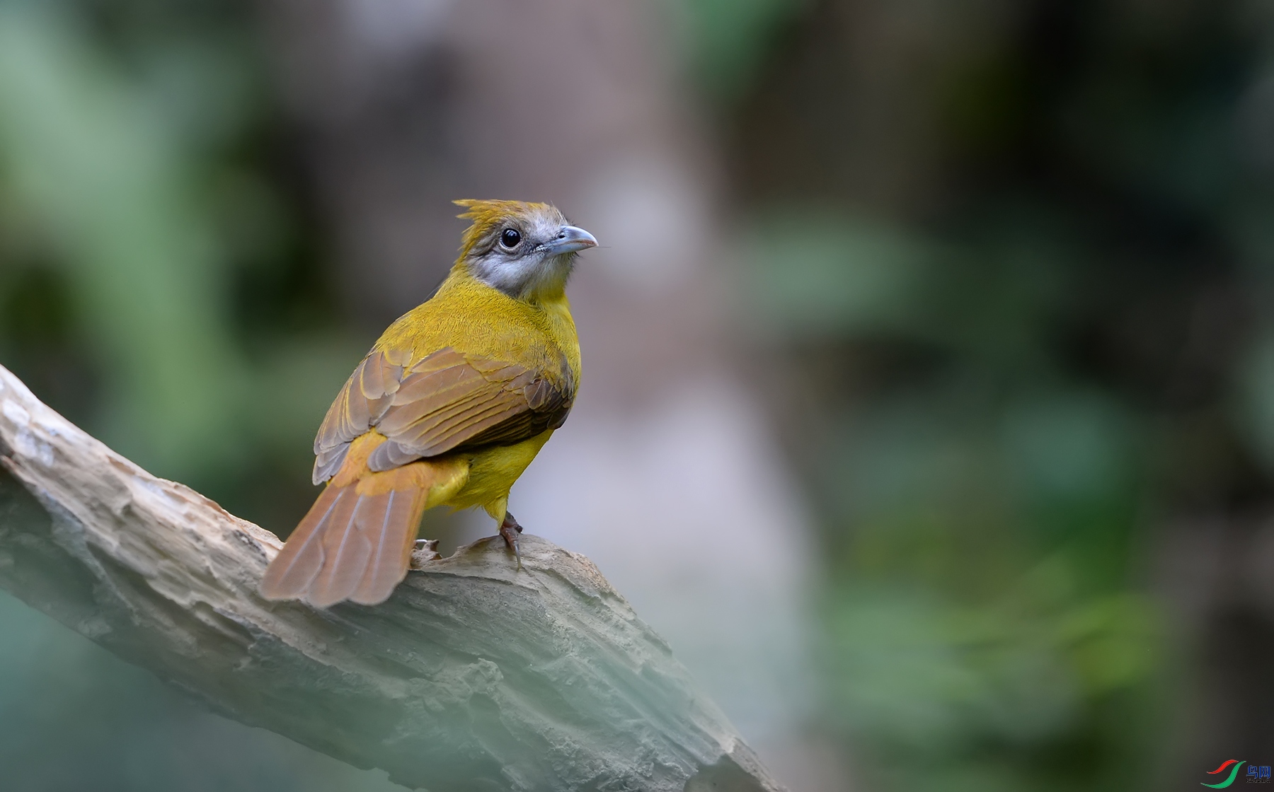 DSC_31441.jpg