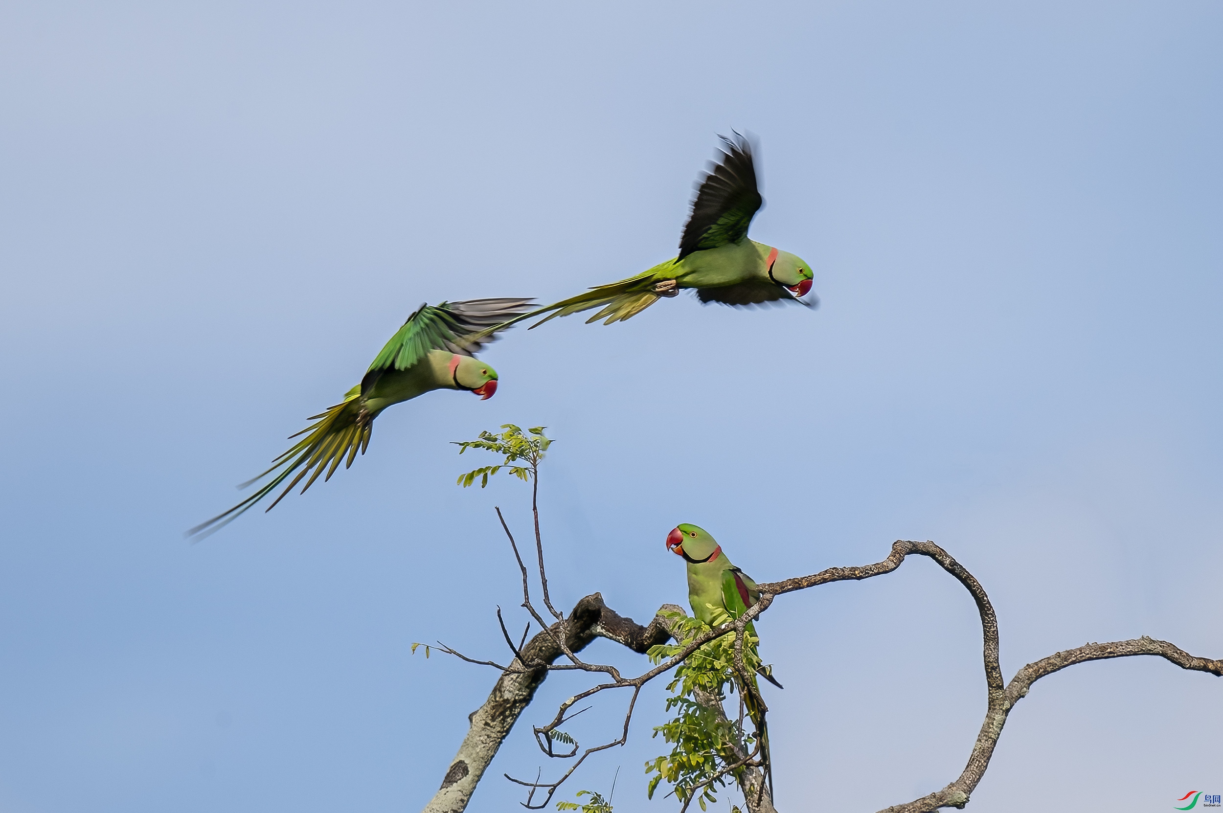 AC3I3355 ����.jpg