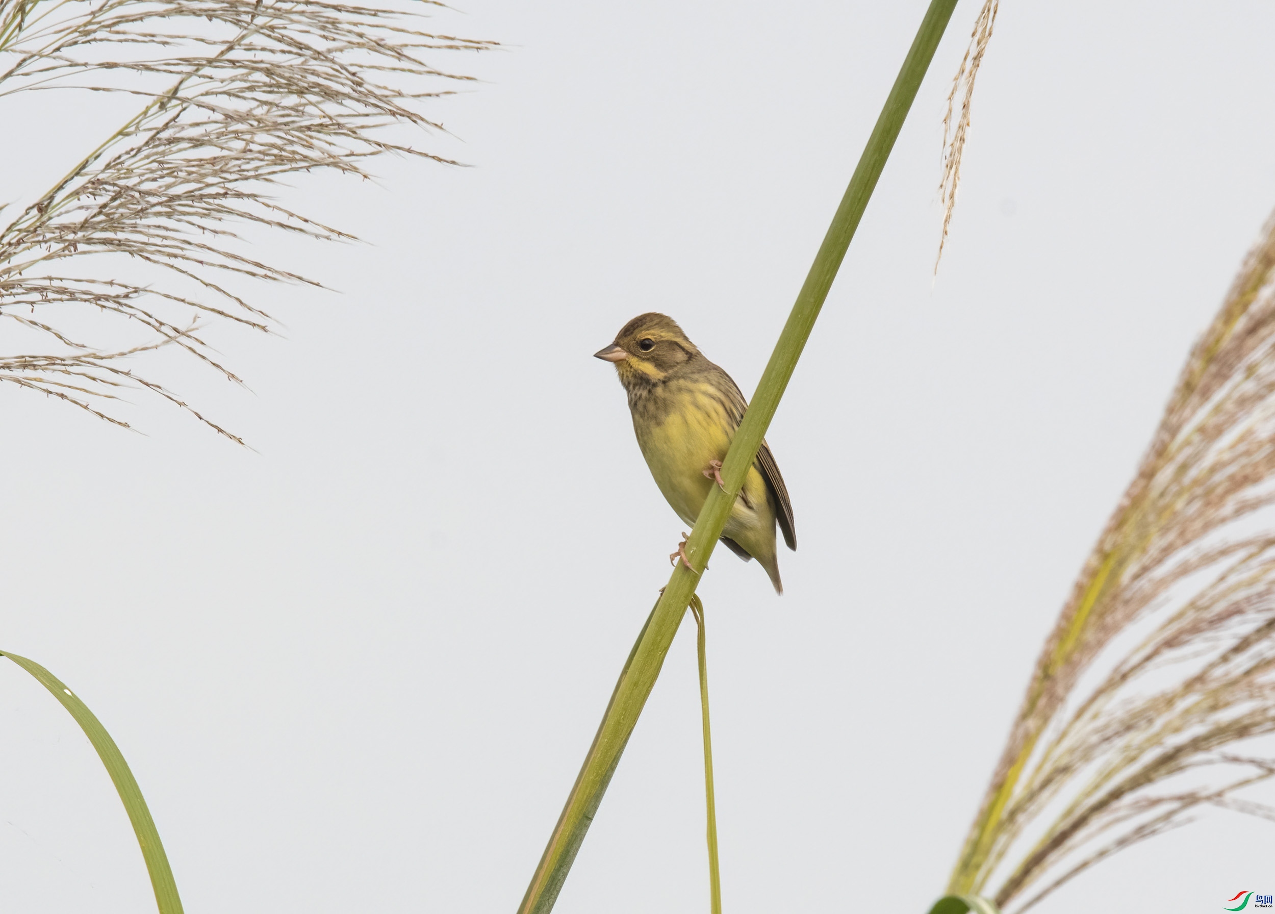 DSC_6706.jpg