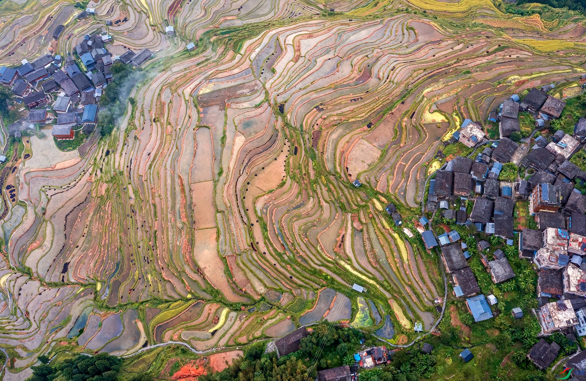 DJI_0649 ����_����.jpg