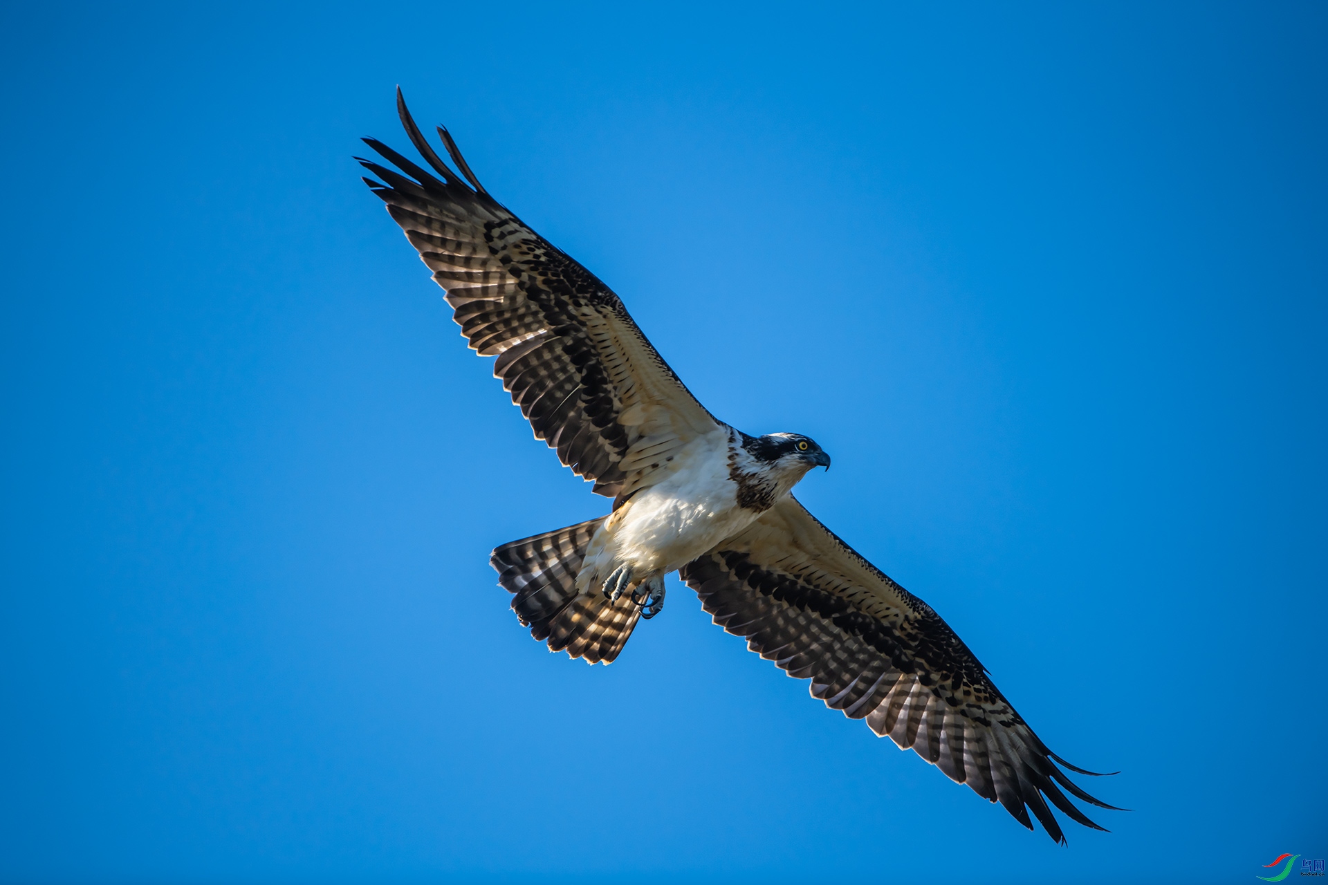 DSC_2105.jpg