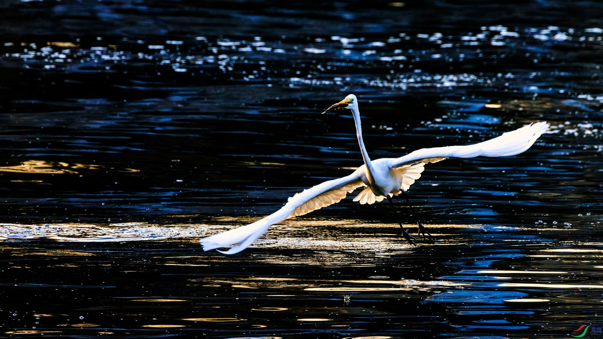 _X7A7817_1.jpg