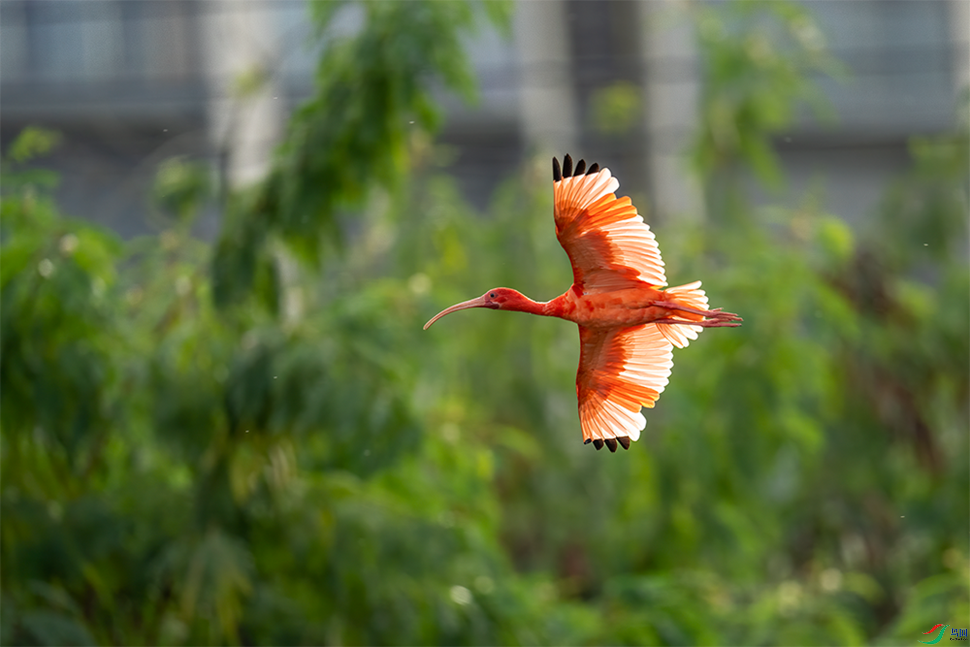 DSC09917.png   001.png