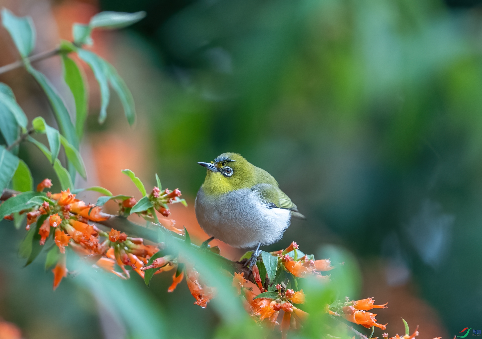 DSC_3759-1.jpg