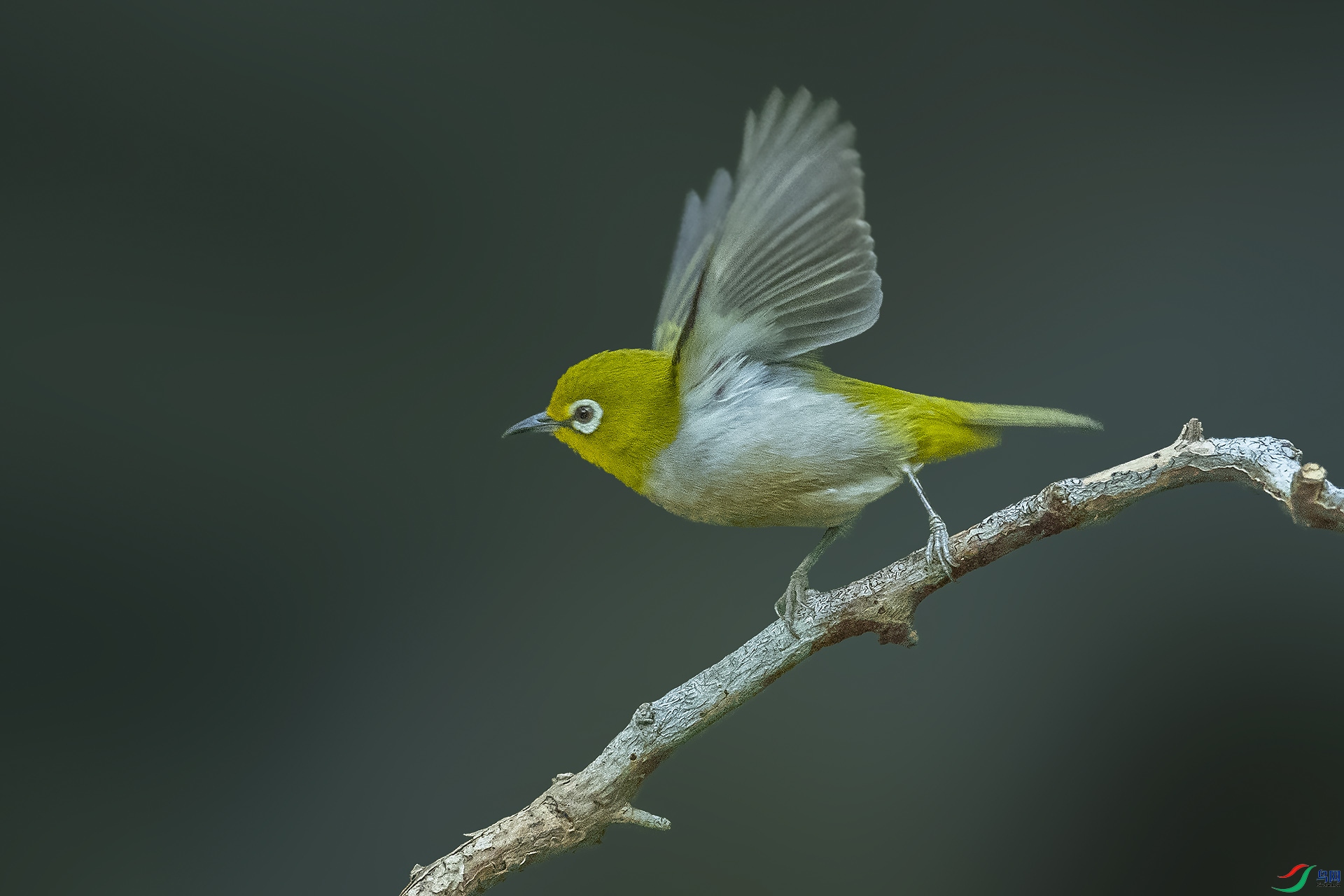 aaaDSC_5419.jpg