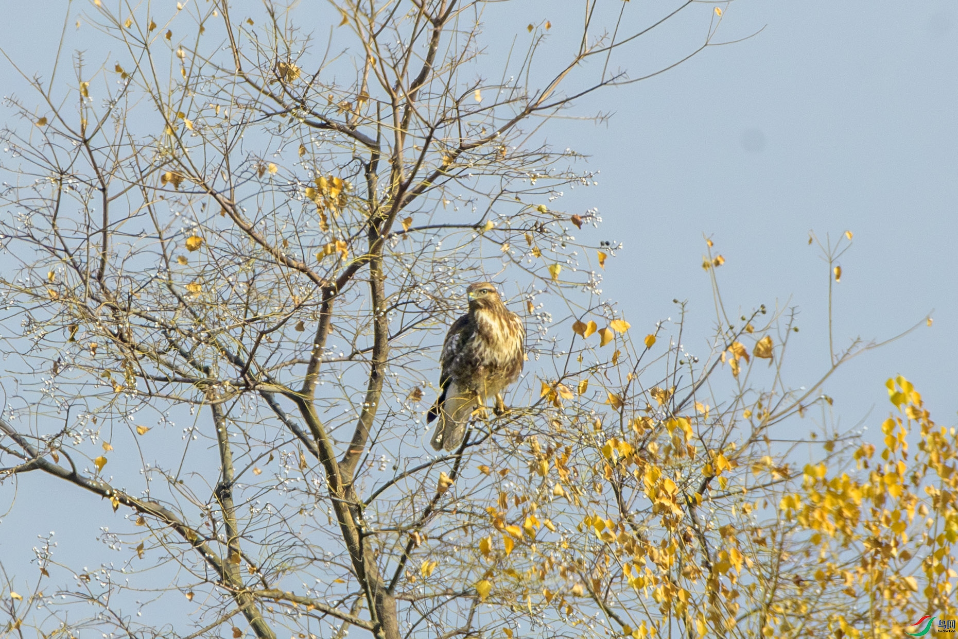 DSC_2775 0.jpg