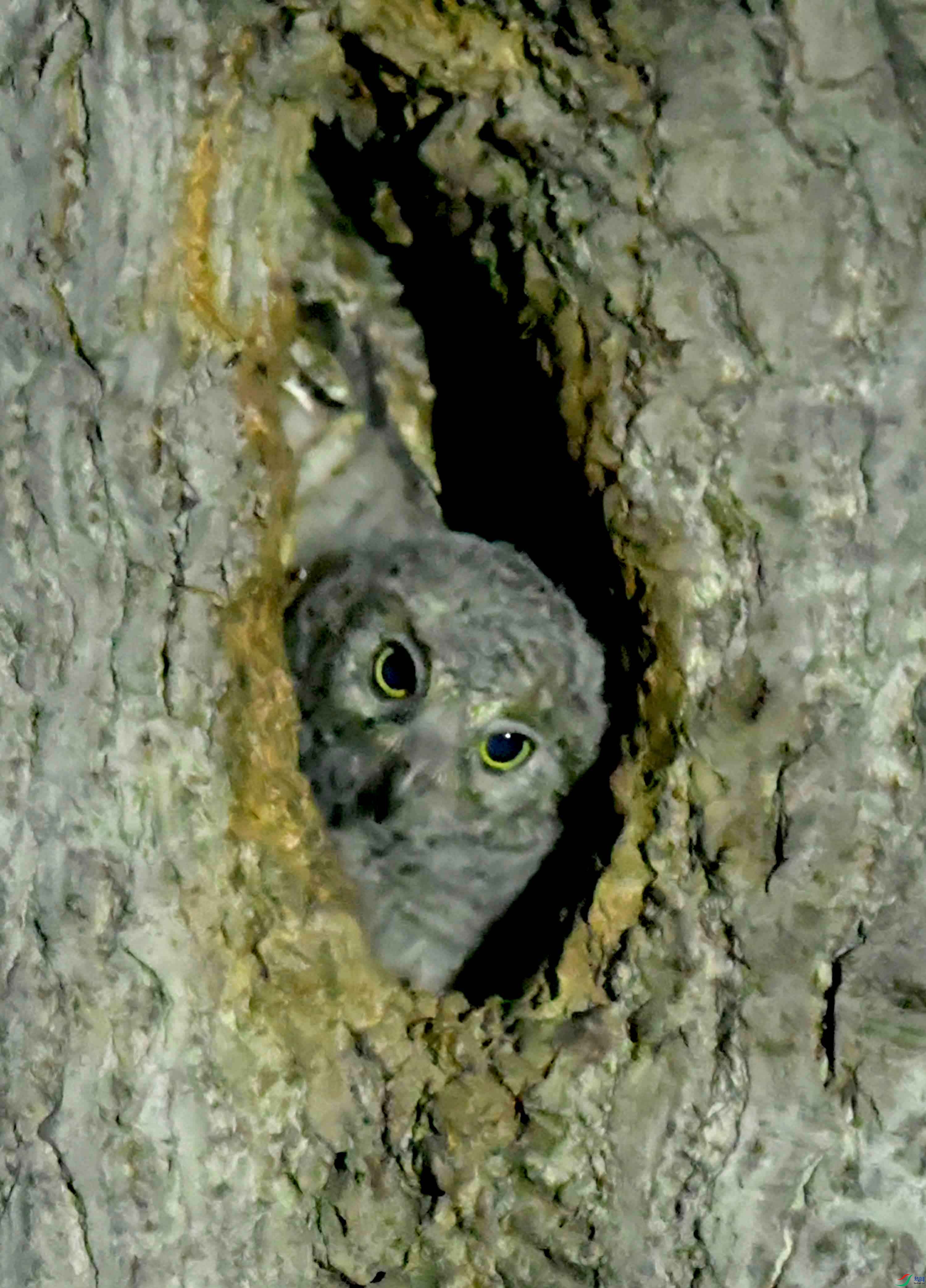 DSC_1214.JPG