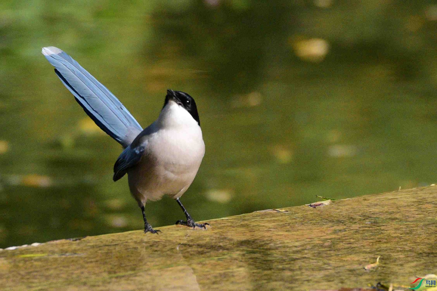 DSC_8782.JPG