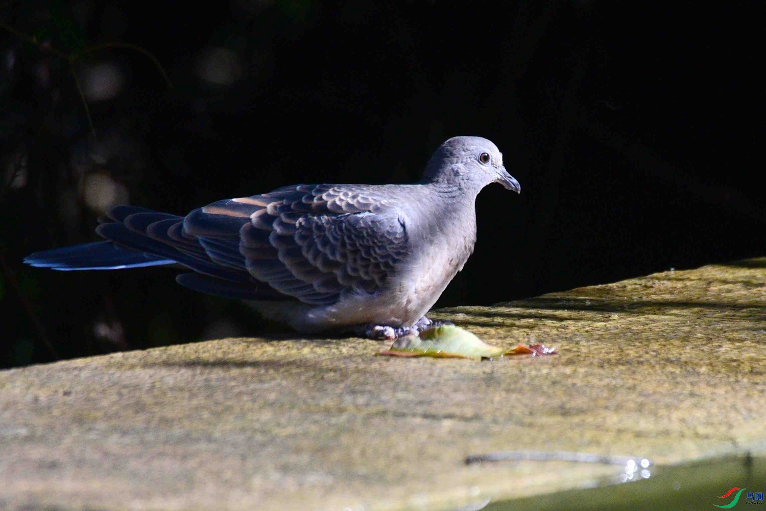 DSC_8870.JPG