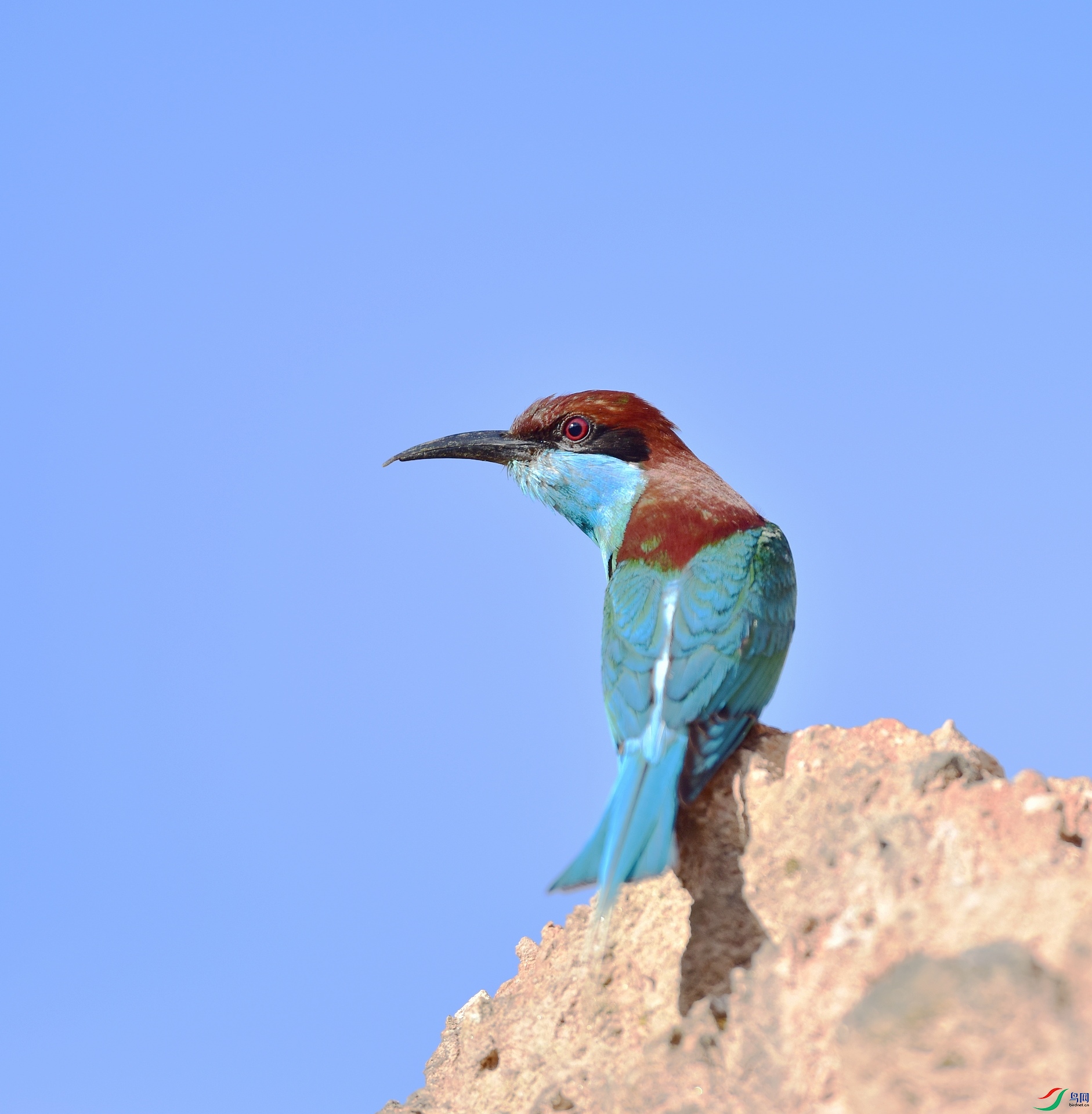 D8I_9372.jpg