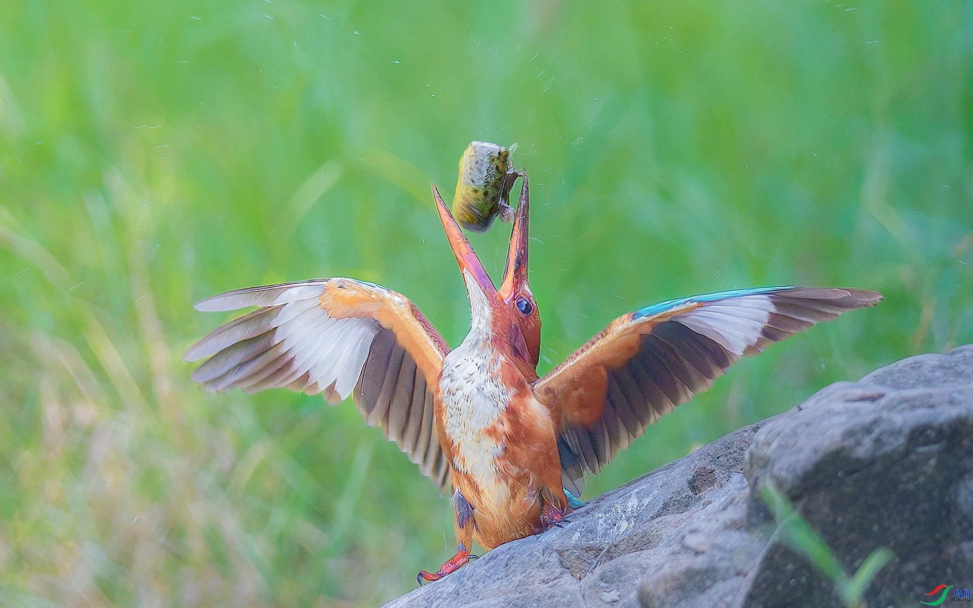 10.6�ƽ�Ҷ��ʦ��Ʒ   ������䡪������һ�� ��ף���ٻ����Ѿ�����.jpg