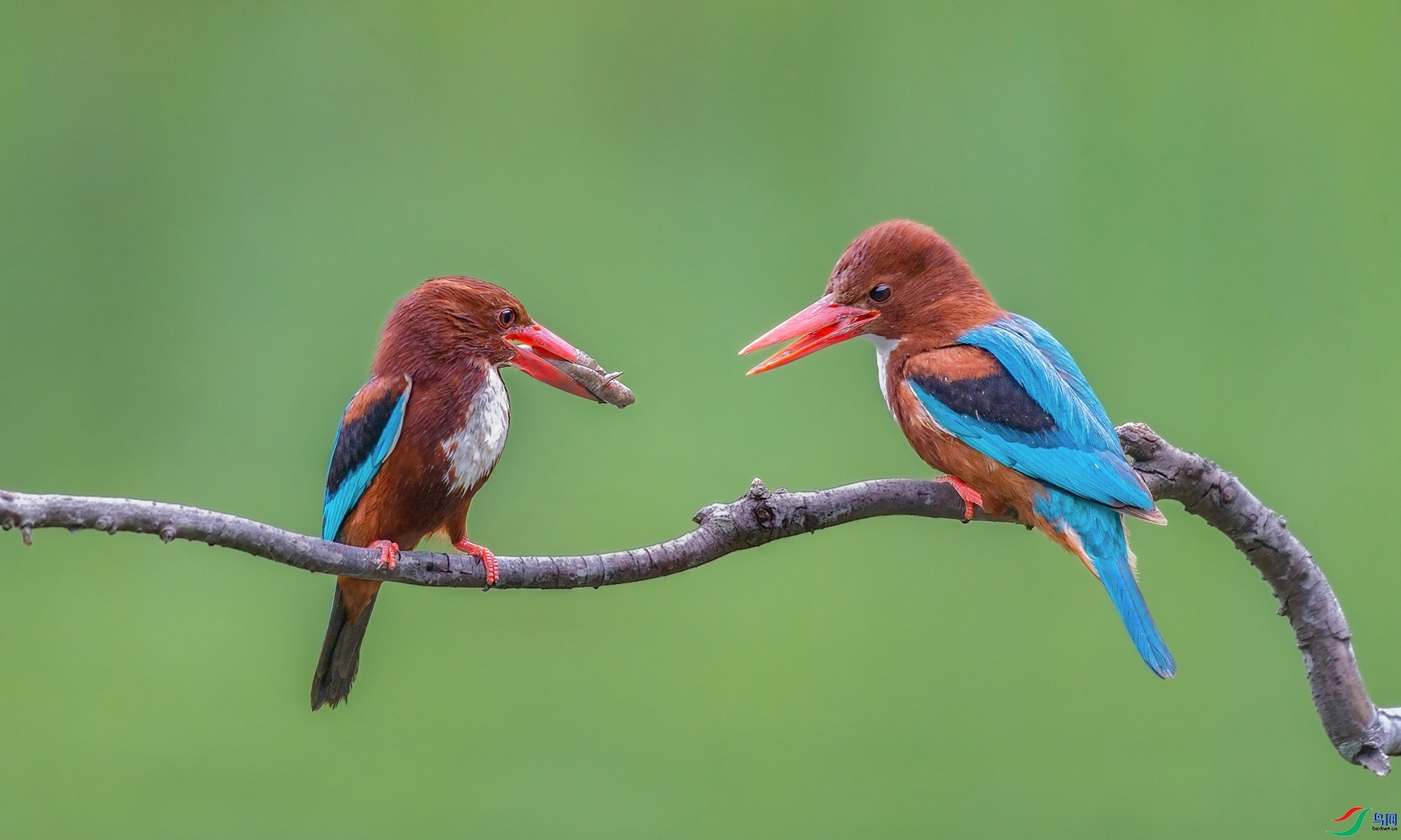 10.8�ƽ�Ҷ��ʦ��Ʒ   ������䡪���ҵ�� ��ף���ٻ����Ѿ�����.jpg